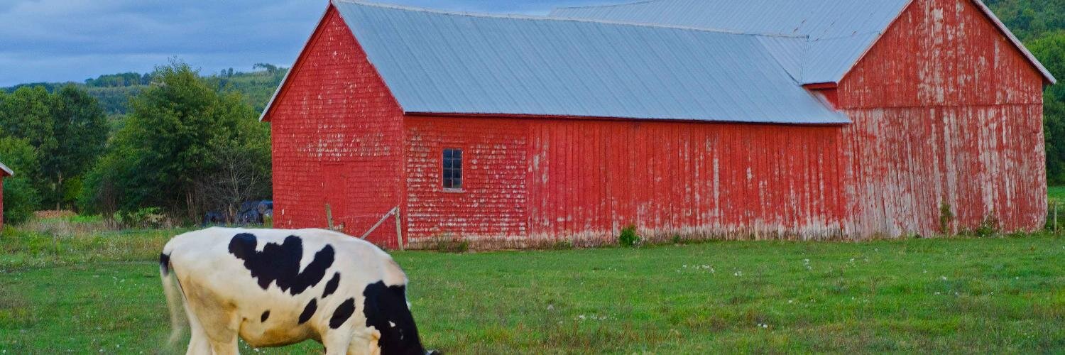NSFARMSFIRST's profile banner image