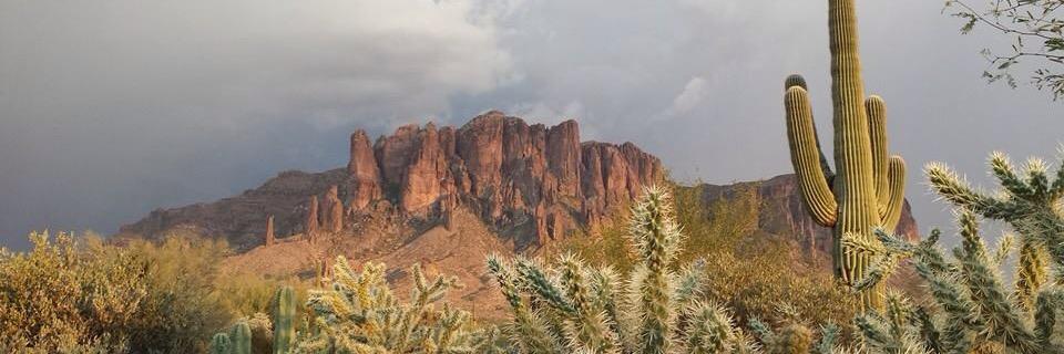 OK 🌵 banner
