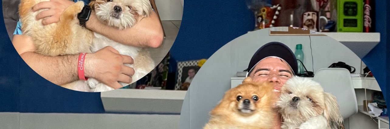 PESTCHEER's profile banner image