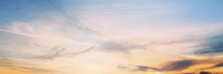 bamyarlow's profile banner image