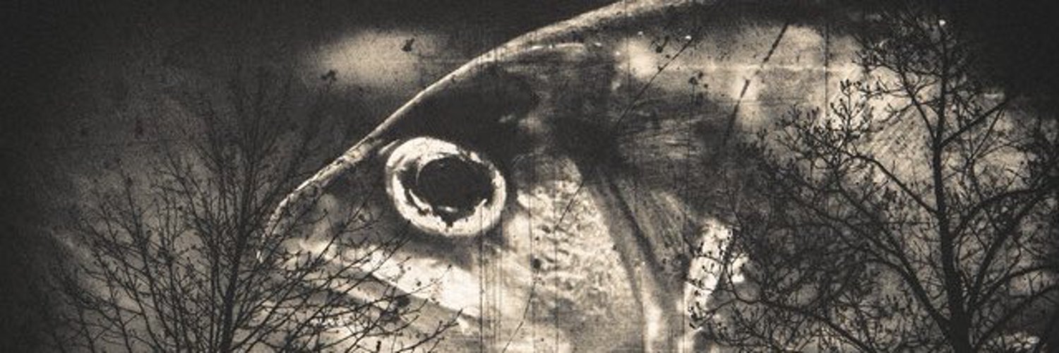 AlicewithShadow's profile banner image