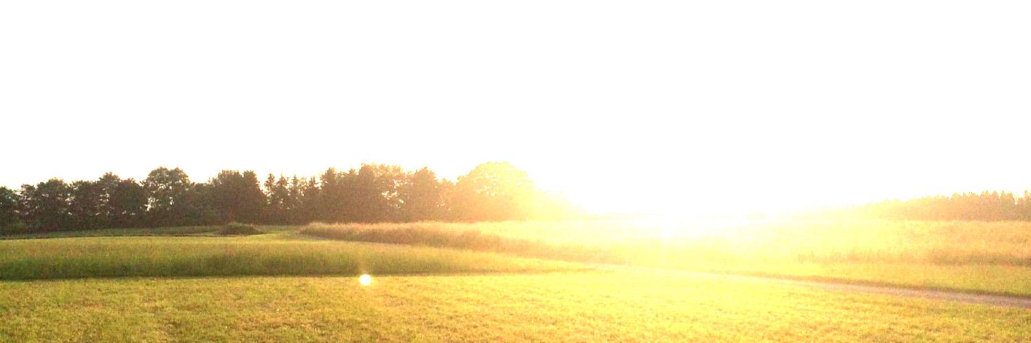 thetalal's profile banner image