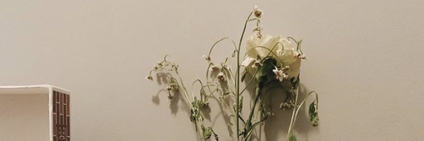 andreagarciagmz's profile banner image