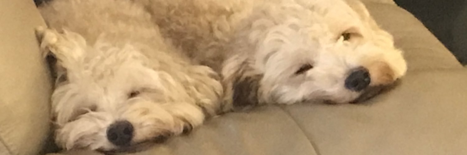 Colyboz's profile banner image