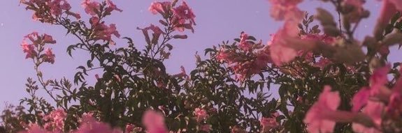 jadanitzr's profile banner image