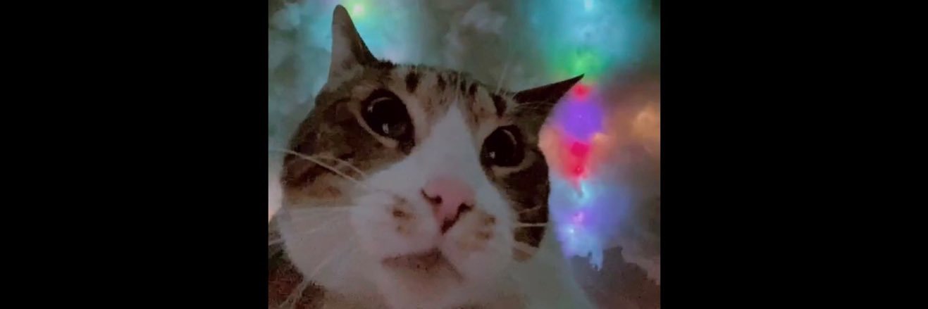 lizajsmith's profile banner image
