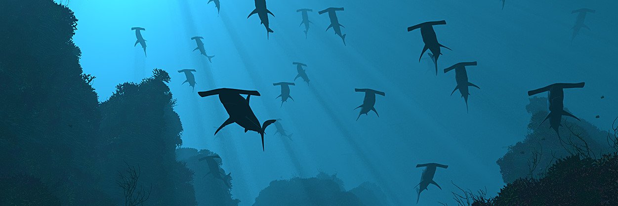 Moritz2112's profile banner image