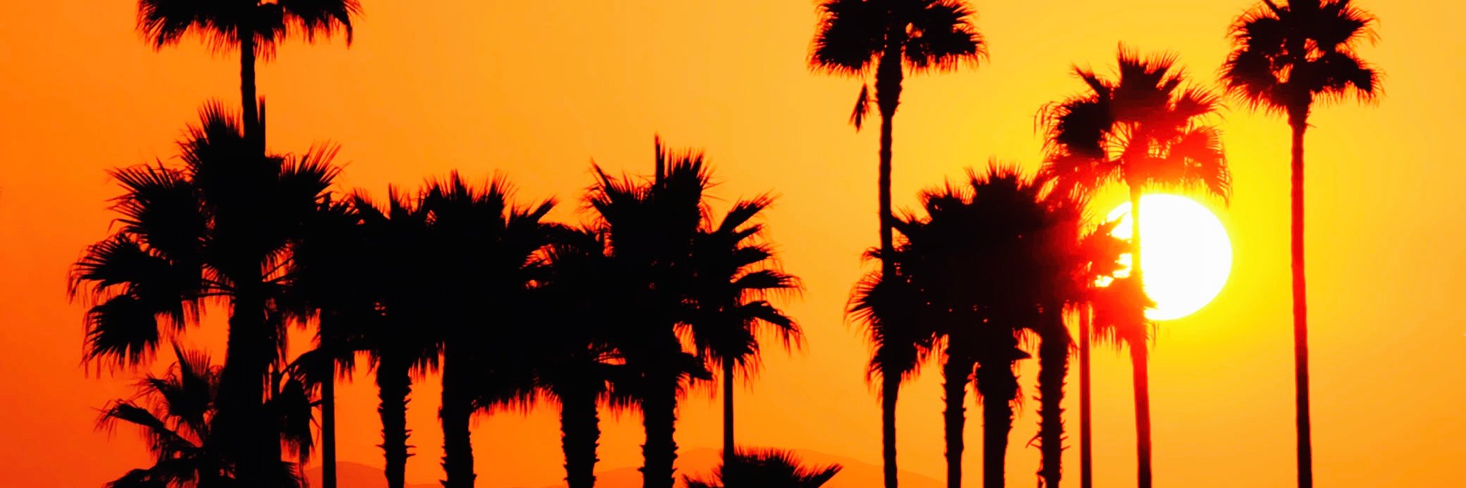 amberd981's profile banner image