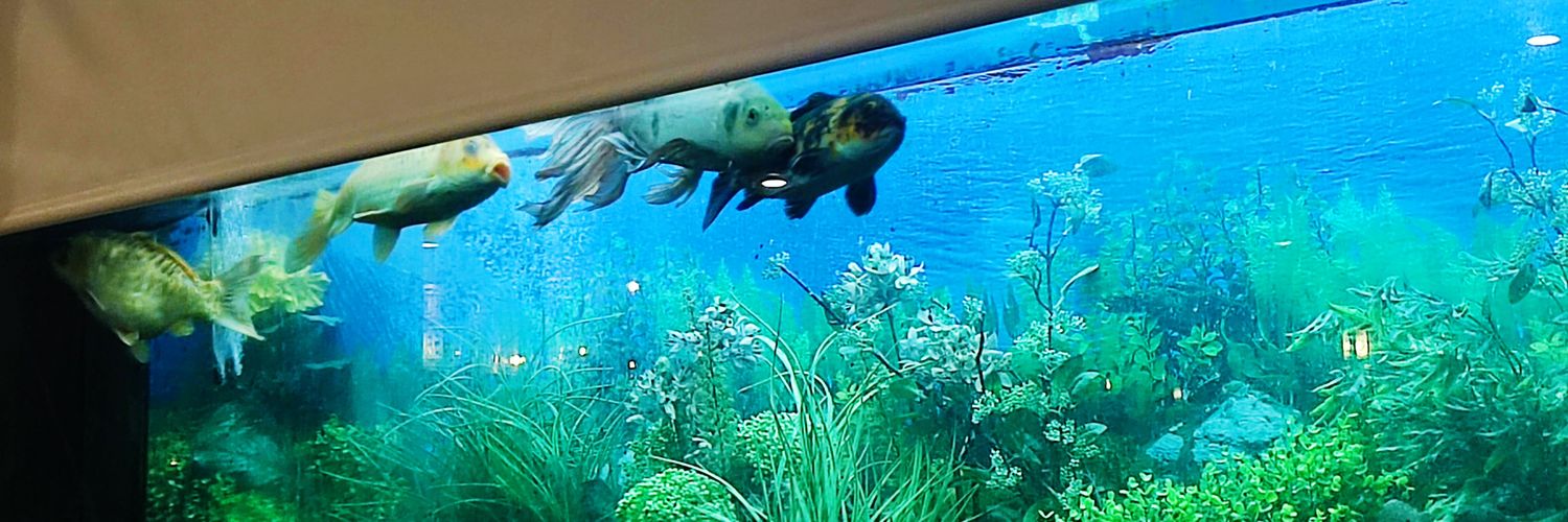 mpcortez54's profile banner image