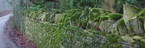 KenKorczak's profile banner image