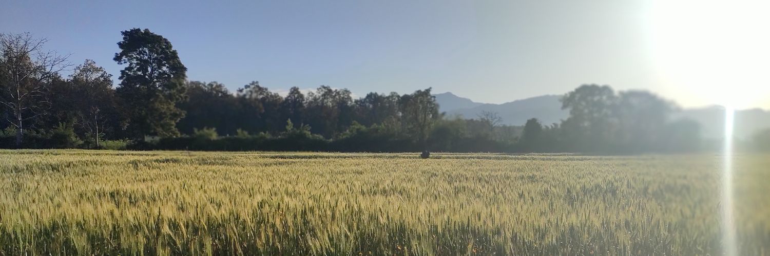RAJNEESH612's profile banner image
