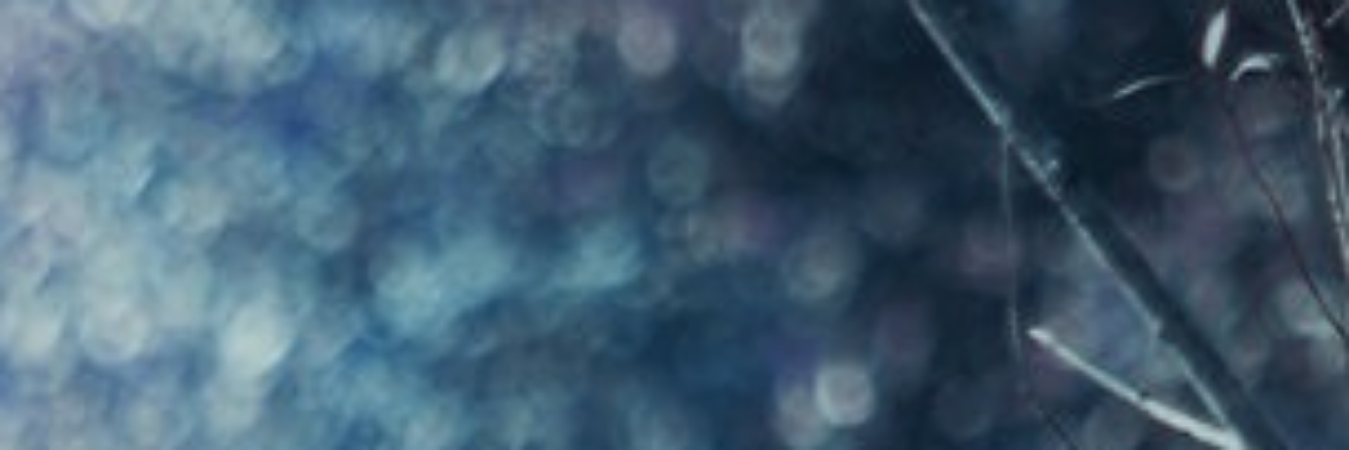 beneeena's profile banner image
