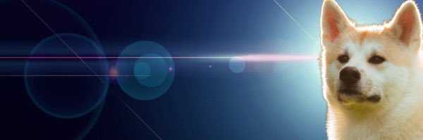 arika_31's profile banner image