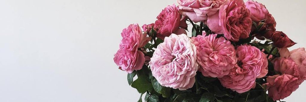 JuliaGraffs's profile banner image