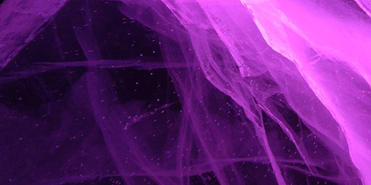 raychelwebb's profile banner image