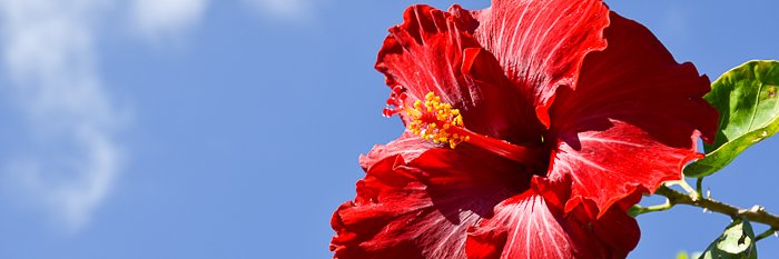 tabimile's profile banner image