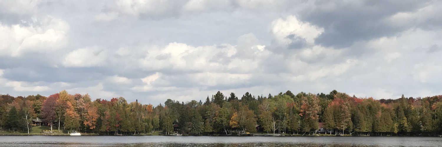 R3ddcinnamon's profile banner image