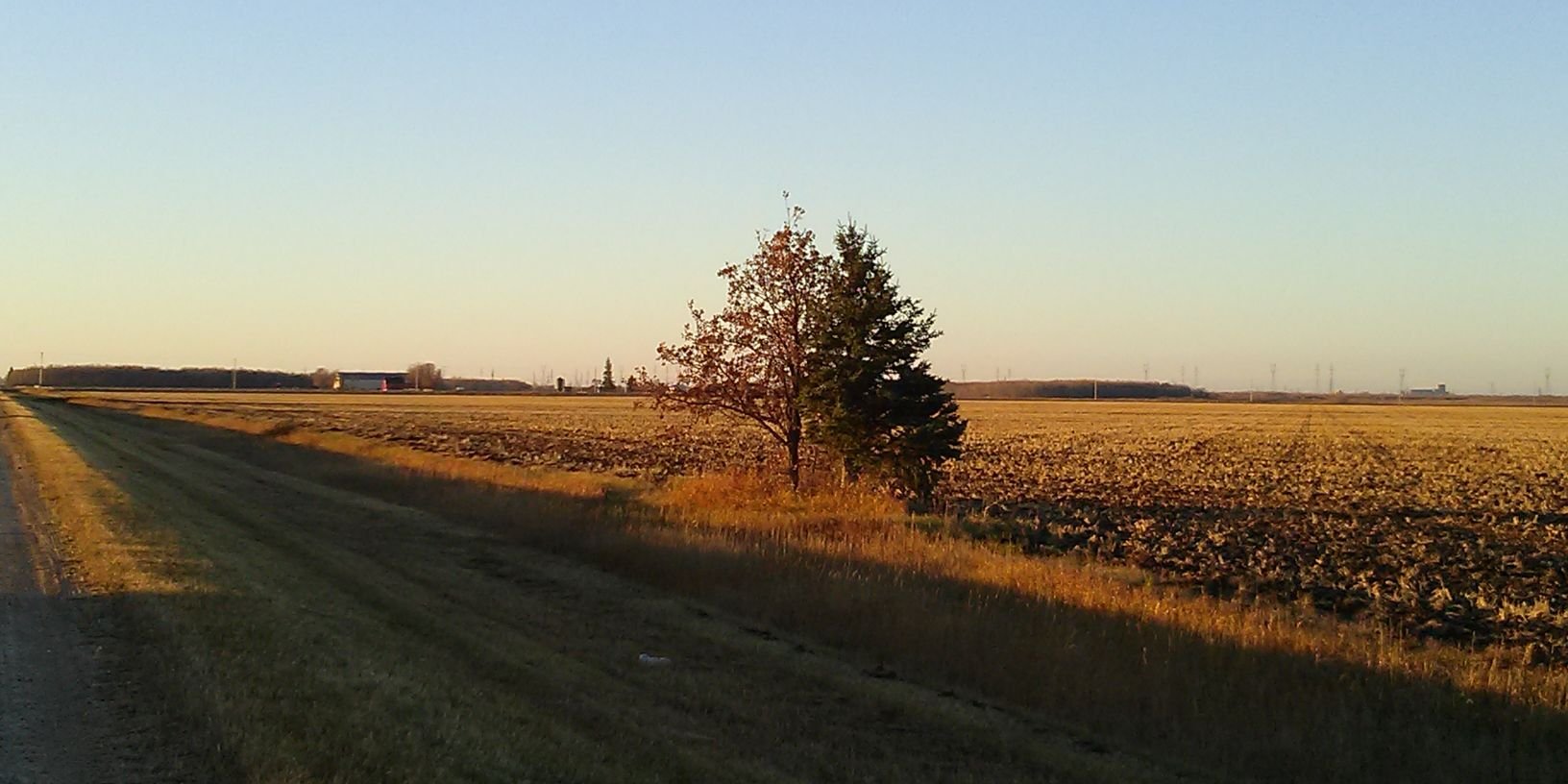SusanKMZ's profile banner image