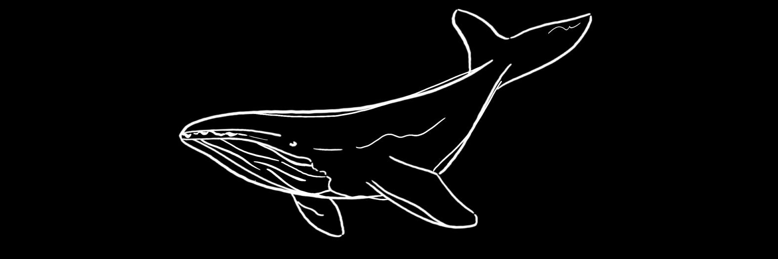 'เรือบินของมินมุง'🐋💙 banner