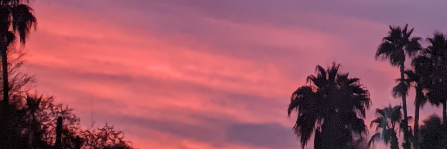 Susie banner