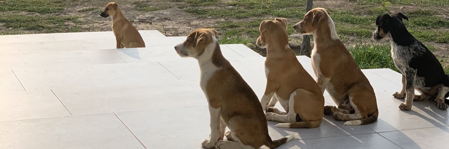 Araceli Juarez banner