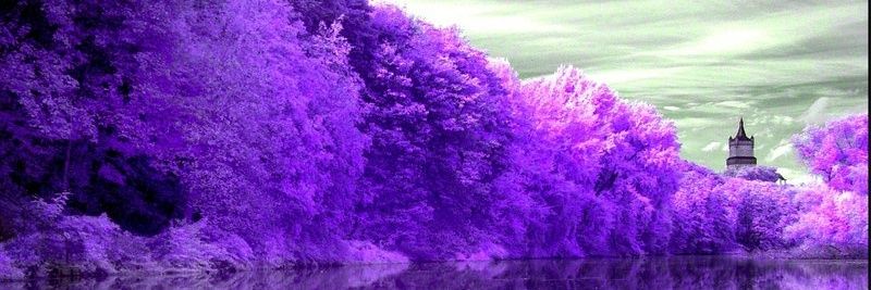 mohmmd9494's profile banner image