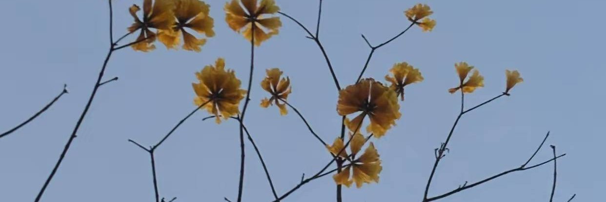 sgkname's profile banner image