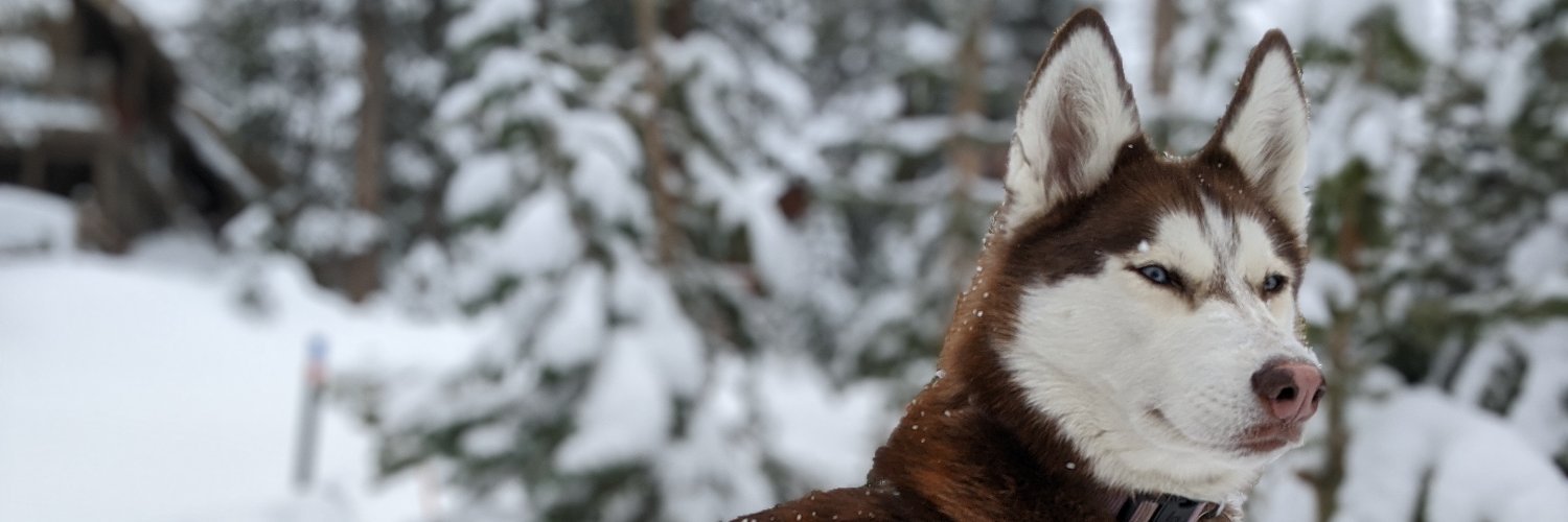 mikeshwe's profile banner image