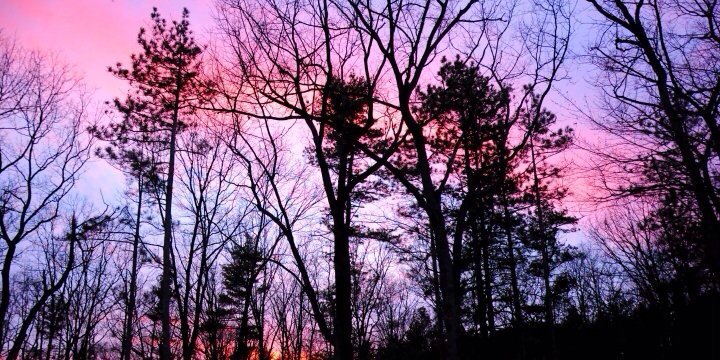 Crystal Mackay banner