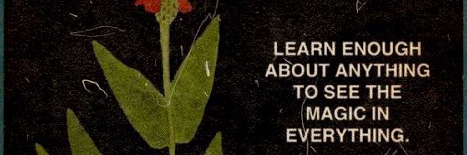 wtfnxyxly's profile banner image