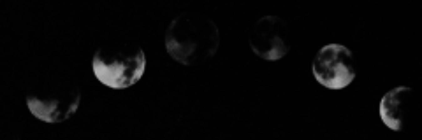MeesterRPGSA's profile banner image