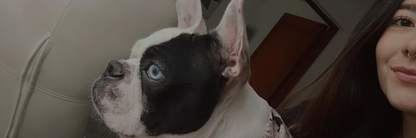 𝑳𝒂𝒖𝒓𝒂 🩷✨🌸 banner