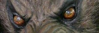 Knevilofficial's profile banner image