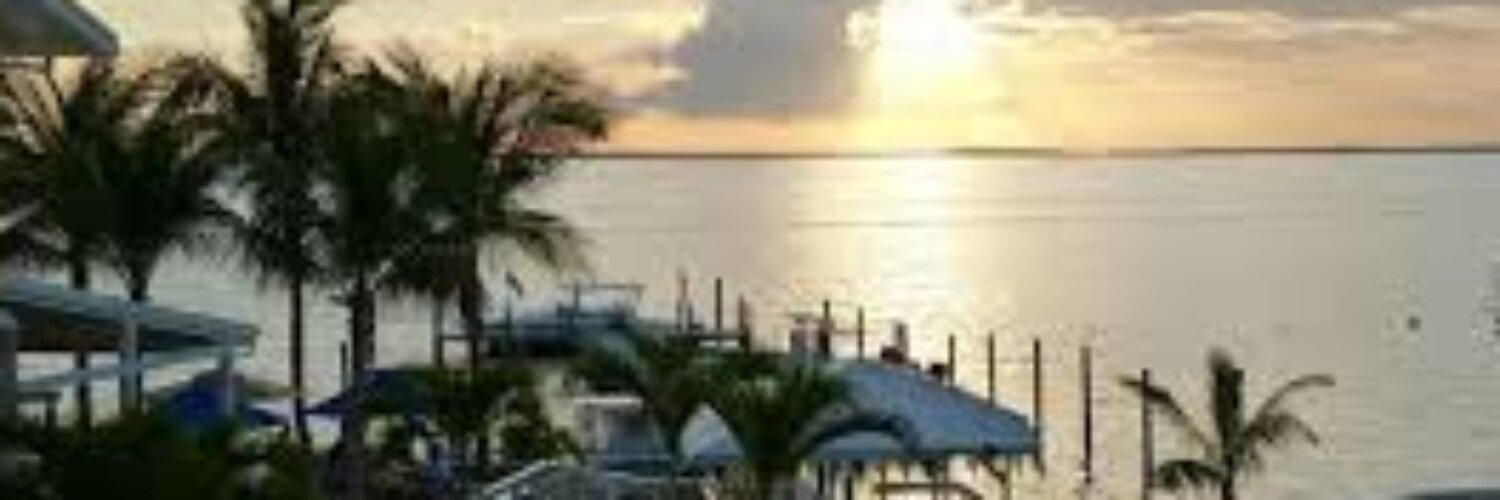 LarsonDebby's profile banner image