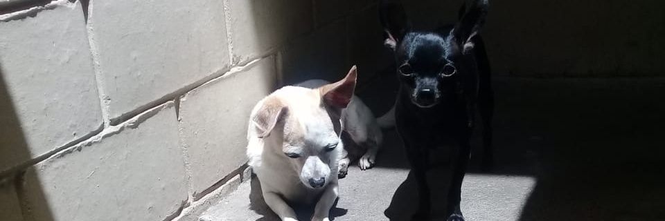luisalemus49's profile banner image