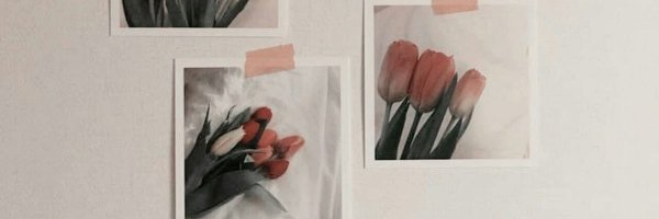 GunerIsa's profile banner image