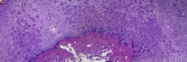 jwlemmonmd Profile Banner