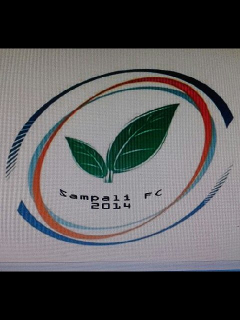 Sampalifc's profile banner image