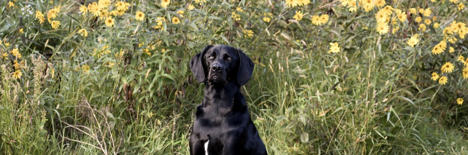 mallorygilb's profile banner image
