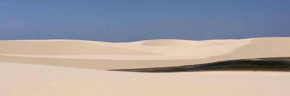 gdsamaral's profile banner image