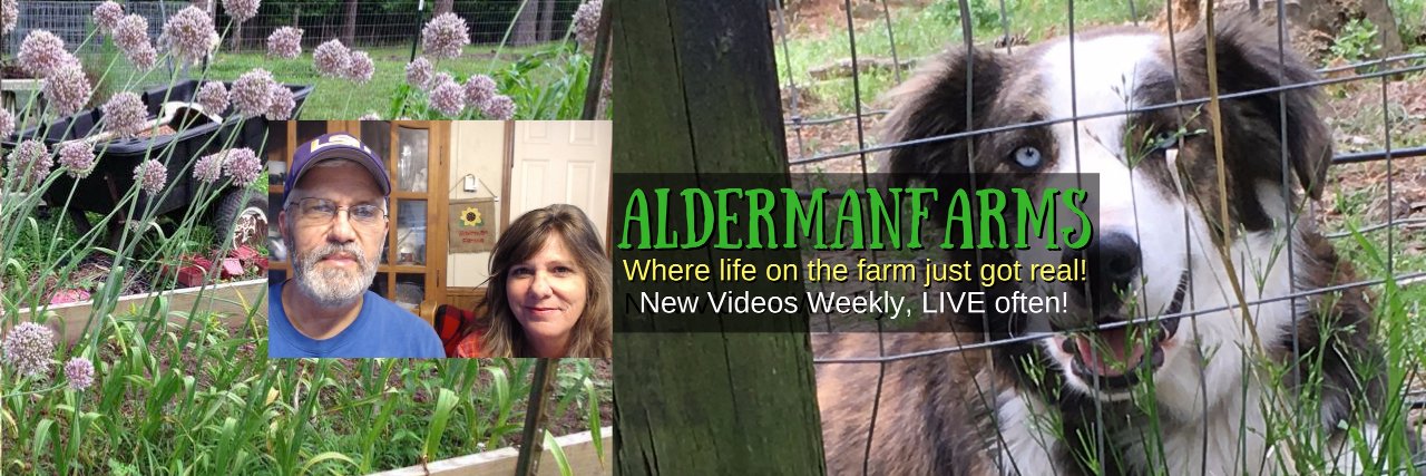 AldermanFarms's profile banner image