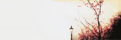 TayTayBI's profile banner image