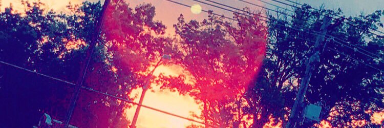 ShaunaNYoung's profile banner image