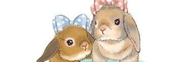 flopsy0502's profile banner image