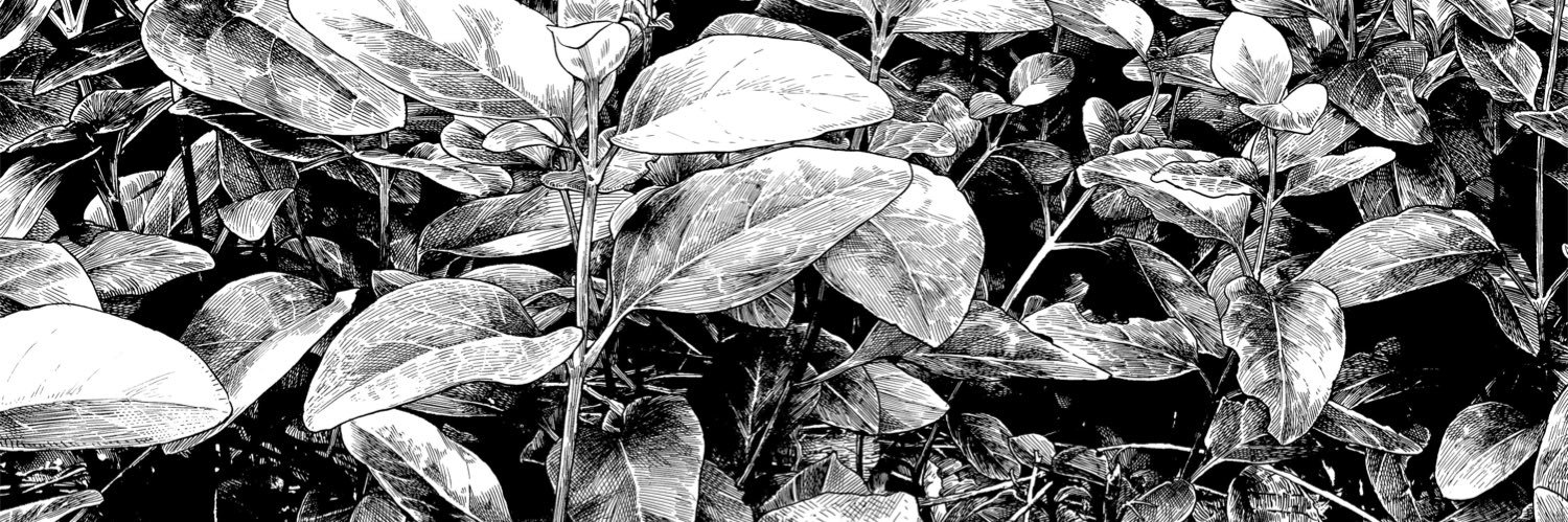 noue1480's profile banner image