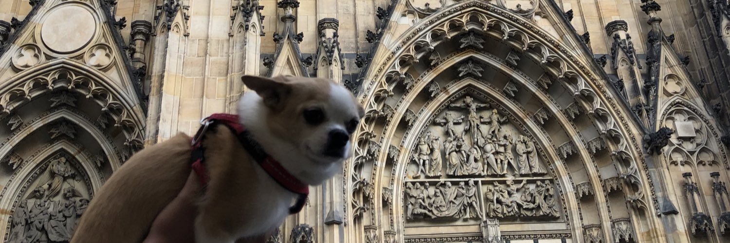 ryanAvezzano's profile banner image