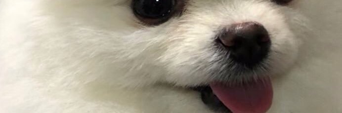 DyandraS26's profile banner image