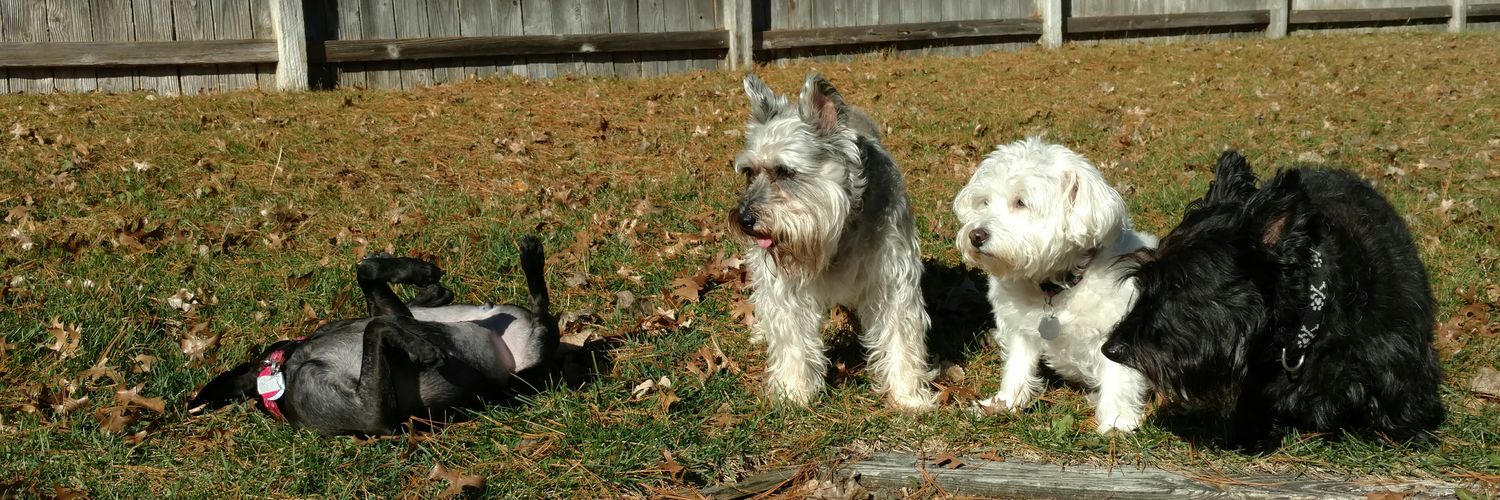 3jdog3's profile banner image
