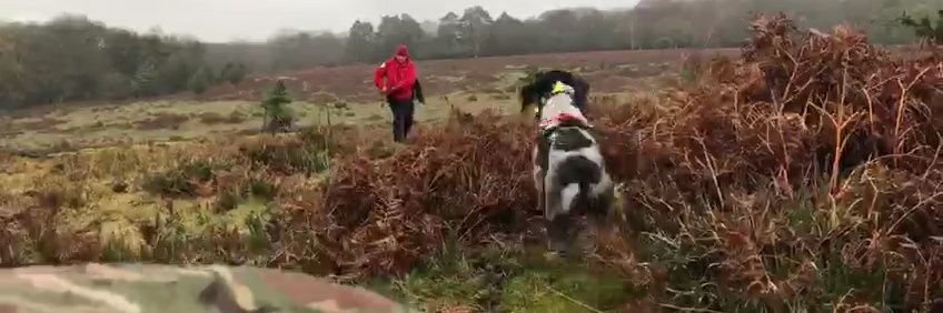 TSD Chhubohe and RSD Oppo (RIP) banner