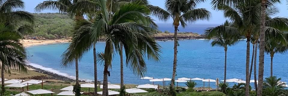 Beth Faiman PhD banner